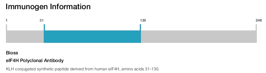 eIF4H Polyclonal Antibody