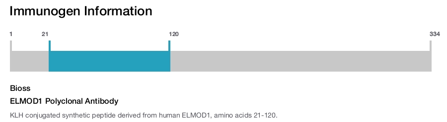 ELMOD1 Polyclonal Antibody