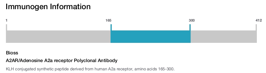 A2AR/Adenosine A2a receptor Polyclonal Antibody