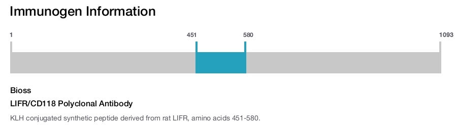 LIFR/CD118 Polyclonal Antibody
