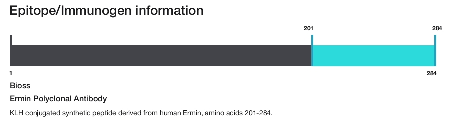 Ermin Polyclonal Antibody