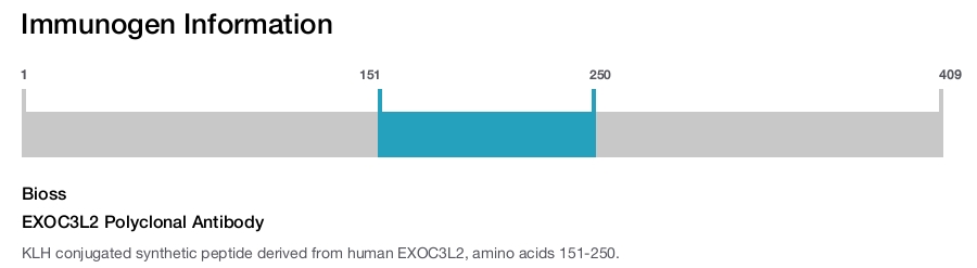 EXOC3L2 Polyclonal Antibody
