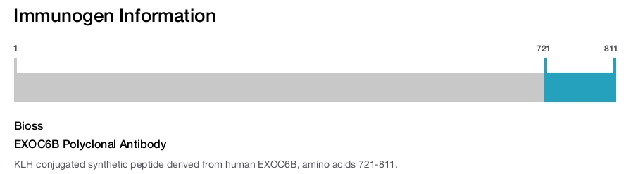 EXOC6B Polyclonal Antibody