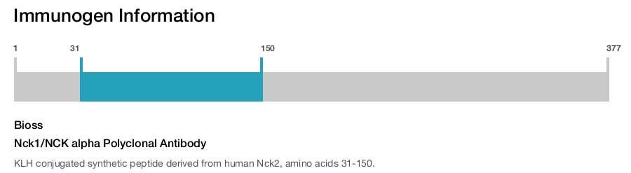 Nck1/NCK alpha Polyclonal Antibody