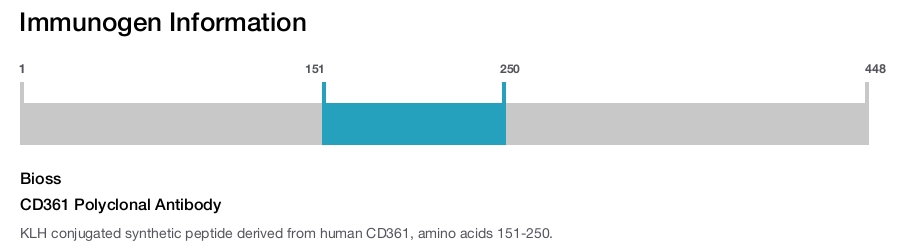 CD361 Polyclonal Antibody