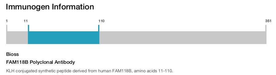 FAM118B Polyclonal Antibody