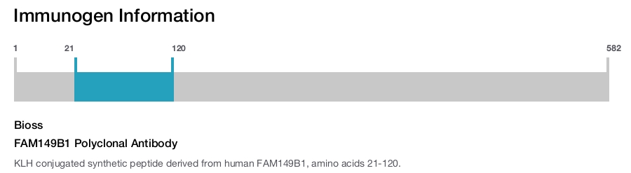 FAM149B1 Polyclonal Antibody