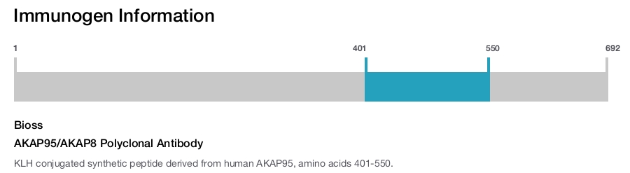 AKAP95/AKAP8 Polyclonal Antibody