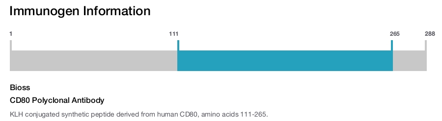 CD80 Polyclonal Antibody