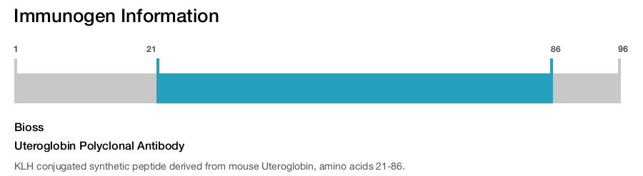 Uteroglobin Polyclonal Antibody