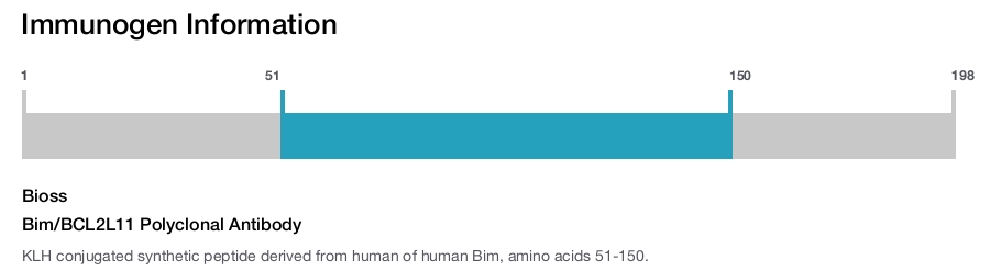 Bim/BCL2L11 Polyclonal Antibody
