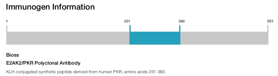 E2AK2/PKR Polyclonal Antibody