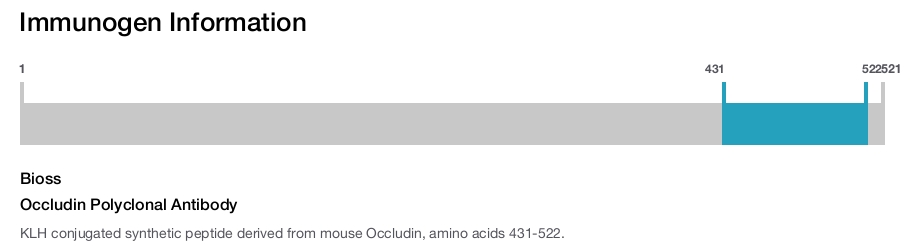Occludin Polyclonal Antibody