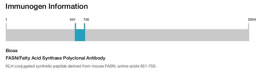FASN/Fatty Acid Synthase Polyclonal Antibody