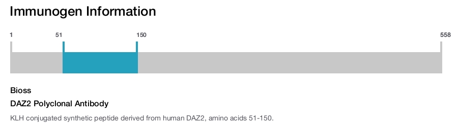 DAZ2 Polyclonal Antibody