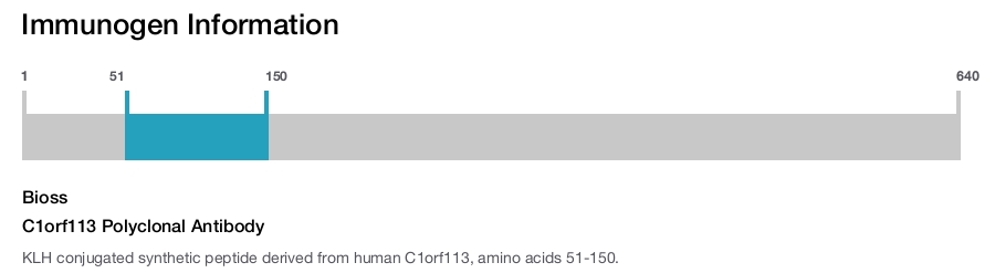 C1orf113 Polyclonal Antibody
