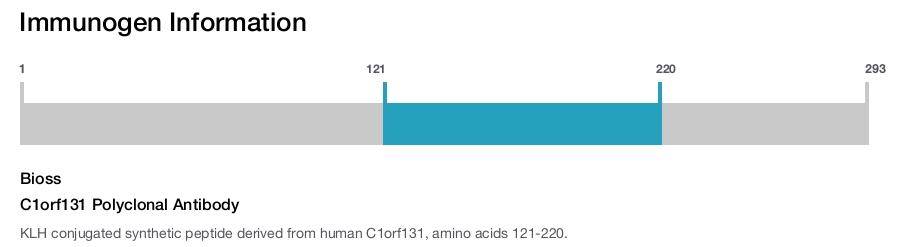 C1orf131 Polyclonal Antibody