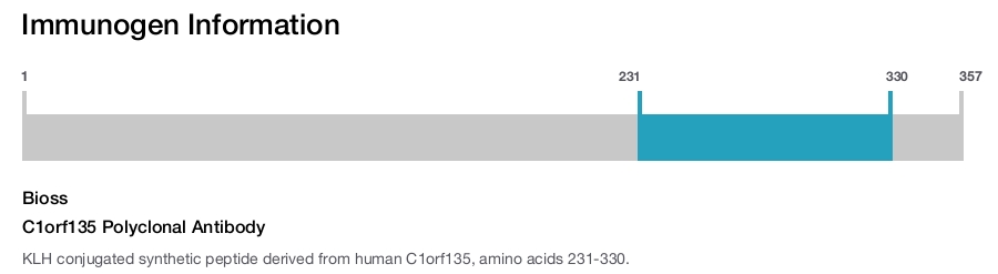 C1orf135 Polyclonal Antibody