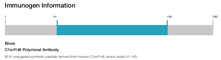 C1orf146 Polyclonal Antibody