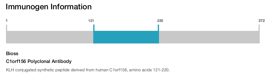 C1orf156 Polyclonal Antibody