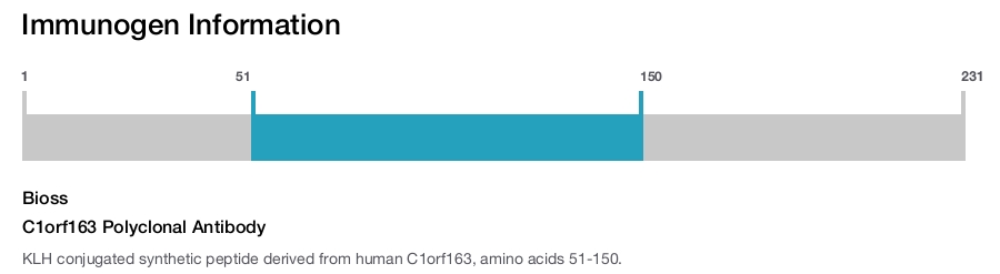 C1orf163 Polyclonal Antibody