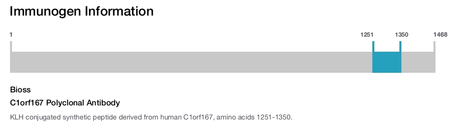C1orf167 Polyclonal Antibody