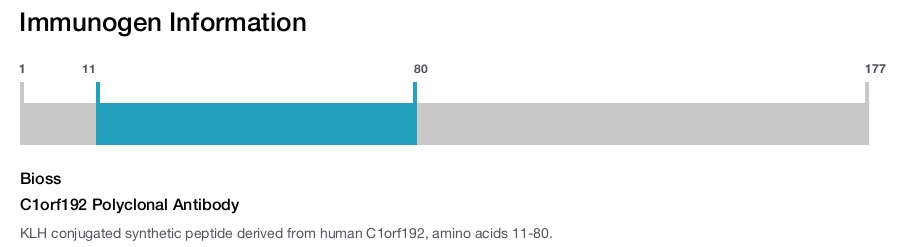 C1orf192 Polyclonal Antibody