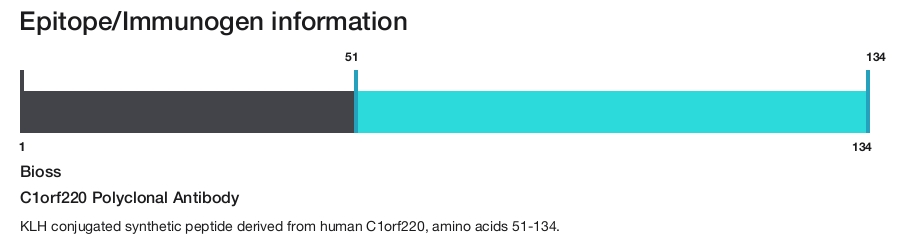 C1orf220 Polyclonal Antibody