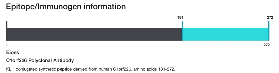 C1orf226 Polyclonal Antibody