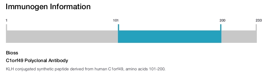 C1orf49 Polyclonal Antibody