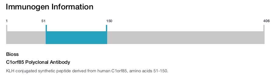 C1orf85 Polyclonal Antibody