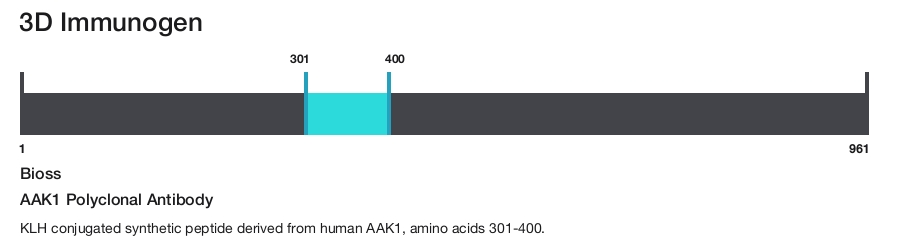 AAK1 Polyclonal Antibody