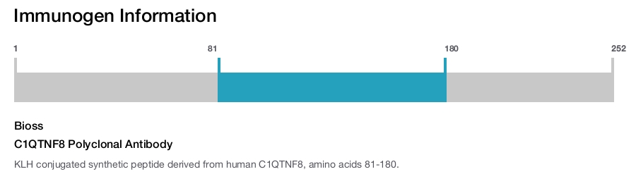 C1QTNF8 Polyclonal Antibody
