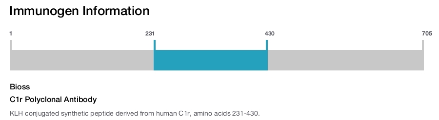 C1r Polyclonal Antibody