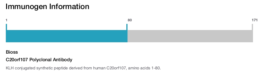 C20orf107 Polyclonal Antibody