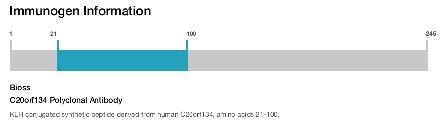 C20orf134 Polyclonal Antibody