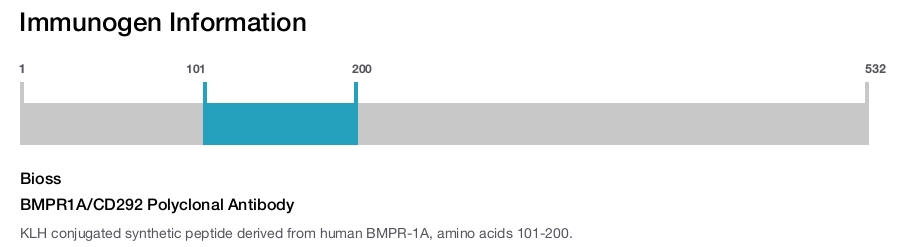 BMPR1A/CD292 Polyclonal Antibody