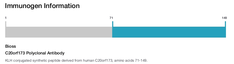 C20orf173 Polyclonal Antibody
