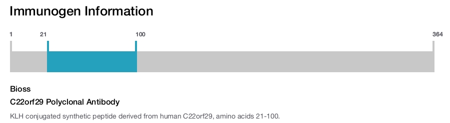 C22orf29 Polyclonal Antibody