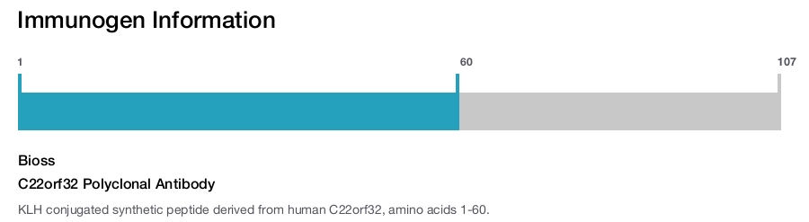 C22orf32 Polyclonal Antibody