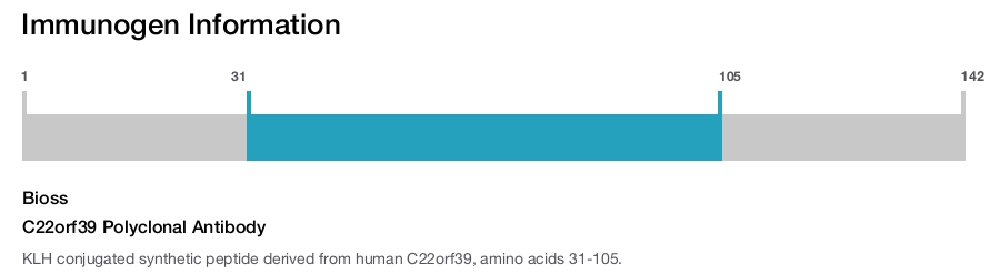 C22orf39 Polyclonal Antibody