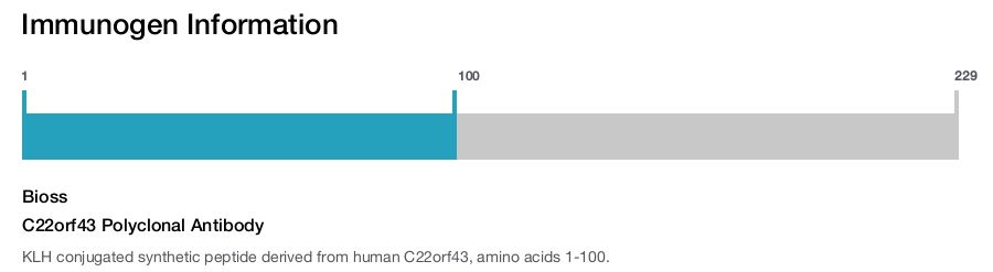 C22orf43 Polyclonal Antibody