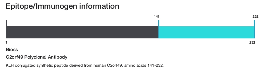 C2orf49 Polyclonal Antibody
