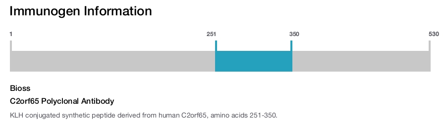 C2orf65 Polyclonal Antibody