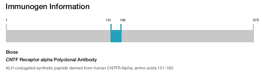 CNTF Receptor alpha Polyclonal Antibody