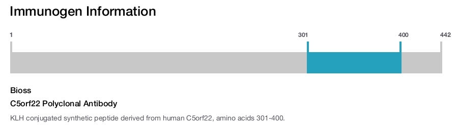 C5orf22 Polyclonal Antibody