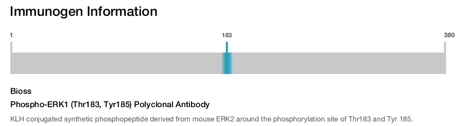 Phospho-ERK1 (Thr183, Tyr185) Polyclonal Antibody
