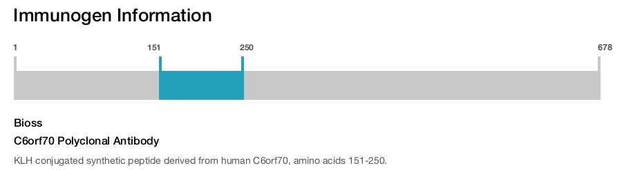 C6orf70 Polyclonal Antibody