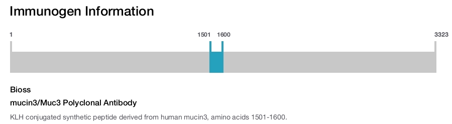 mucin3/Muc3 Polyclonal Antibody
