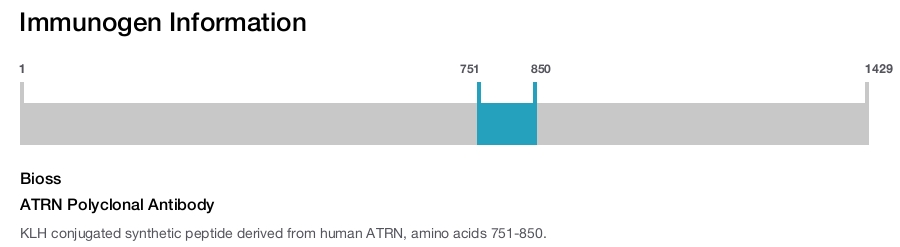 ATRN Polyclonal Antibody
